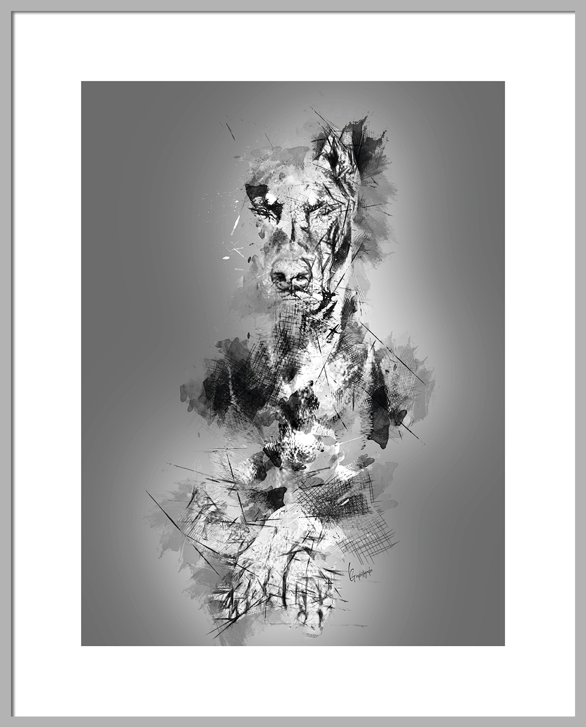 Doberman #01