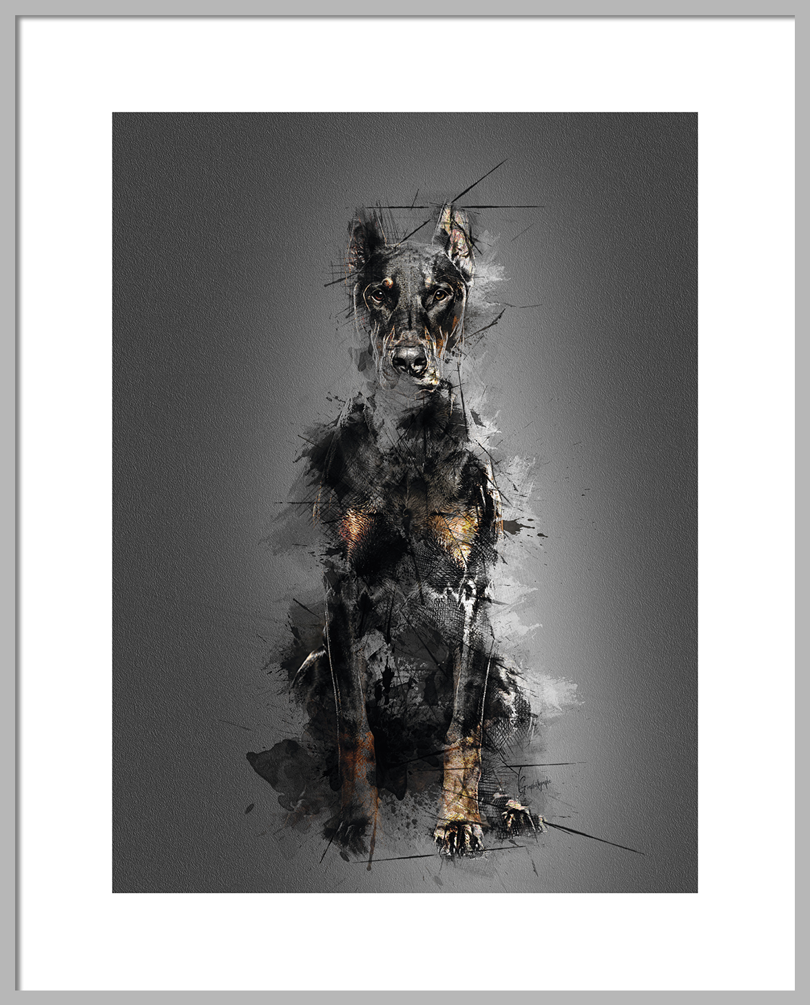 Doberman #05